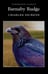 Обложка книги «Barnaby Rudge» — Диккенс Чарльз, ISBN 9781853267390