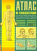 Обложка книги «Атлас по рефлексотерапии. Акупунктурные рецепты. Книга 1» — Усакова Нина Андреевна, ISBN 9785000537282