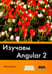 Обложка книги «Изучаем Angular 2» — Дилеман Пабло, ISBN 9785970604618