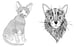 Дополнительное изображение книги «Cats. Творческая раскраска замурчательных котиков»
