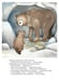 Дополнительное изображение книги «Ложись спать, медвежонок!»