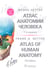 Дополнительное изображение книги «Атлас анатомии человека. 7-е изд»