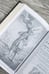 Дополнительное изображение книги «Даниель Дефо: факт или вымысел»