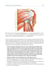 Дополнительное изображение книги «Topographic Anatomy and Operative Surgery: textbook: на англ.яз»