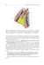 Дополнительное изображение книги «Topographic Anatomy and Operative Surgery: textbook: на англ.яз»