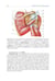 Дополнительное изображение книги «Topographic Anatomy and Operative Surgery: textbook: на англ.яз»