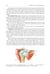 Дополнительное изображение книги «Topographic Anatomy and Operative Surgery: textbook: на англ.яз»