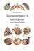Обложка книги «Закономерности в природе: самотканый ковер: В 3 ч.: Ч. 1: Формы» — Болл Филип, ISBN 9785604787748