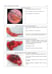 Дополнительное изображение книги «The Course of Faculty (Analitical) Surgery in Pictures, Tables and Schemes»