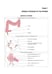 Дополнительное изображение книги «The Course of Faculty (Analitical) Surgery in Pictures, Tables and Schemes»