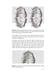 Дополнительное изображение книги «Orthodontics. Modern Methods of Diagnosing Dental Abnormalities, Dentition and Occlusion: tutorial: на англ.яз»