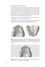 Дополнительное изображение книги «Orthodontics. Modern Methods of Diagnosing Dental Abnormalities, Dentition and Occlusion: tutorial: на англ.яз»