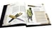 Дополнительное изображение книги «ОЛИП. Энциклопедия оружия. Лучшие мировые образцы (золот. тиснен.)»