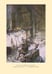 Дополнительное изображение книги «Кольцо Нибелунга»