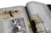 Дополнительное изображение книги «Дикие кошки мира»