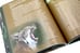 Дополнительное изображение книги «Дикие кошки мира»