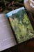 Дополнительное изображение книги «Дитя леса»