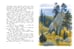Дополнительное изображение книги «Арктур - гончий пёс. Рис. Н. Устинова»