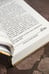 Дополнительное изображение книги «Амалия и Белое видение»