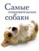Обложка книги «Самые очаровательные собаки», ISBN 9785952429925