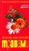 Обложка книги «Лечение мастопатии травами», ISBN 5952420303