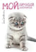 Обложка книги «Котик грустный Дневничок», ISBN 9785227066831