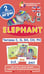 Обложка книги «Англ4. Слон (Elephant). Читаем C, G, SH, CH, PH. Level 4.  Набор карточек», ISBN 9785811244874
