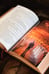 Дополнительное изображение книги «Бог-Император Дюны»