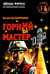 Обложка книги «Горний мастер: роман-исследование» — Воронин Валерий  Владимирович, ISBN 9785002284283