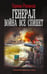 Обложка книги «Генерал. Война все спишет» — Романов Герман Иванович, ISBN 9785171781163