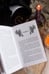 Дополнительное изображение книги «Загадочная история Аллана Уэйна»