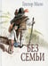 Обложка книги «Без семьи. Илл. Фадеевой», ISBN 9785926848073