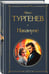 Дополнительное изображение книги «Накануне»