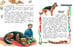 Дополнительное изображение книги «Как правильно любить собак. Рассказы»