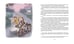 Дополнительное изображение книги «Калле Блумквист и Расмус: повесть»