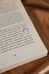 Дополнительное изображение книги «Мелодия опавших листьев»