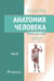 Дополнительное изображение книги «Анатомия человека: Учебник: в 2 т. Т. 2»