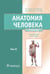 Обложка книги «Анатомия человека: Учебник: в 2 т. Т. 2» — Никитюк Дмитрий Борисович;Сапин Михаил Романович;Николенко Владимир Николаевич, ISBN 9785970493717
