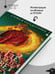 Дополнительное изображение книги «Где распускается алоцвет»