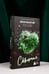 Дополнительное изображение книги «Скверная. Специальное издание»