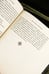 Дополнительное изображение книги «Гримус»