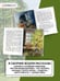 Дополнительное изображение книги «Корзина с еловыми шишками»