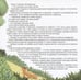 Дополнительное изображение книги «Белоснежка»