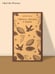 Дополнительное изображение книги «Габриэла, гвоздика и корица»