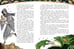 Дополнительное изображение книги «Мифы Древней Греции»
