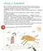 Дополнительное изображение книги «Интимная книга»