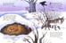 Дополнительное изображение книги «Загадки о животных»