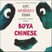 Обложка книги «Курс китайского языка "Boya Chinese". Начальный уровень. Ступень-1. МР3», ISBN 9785992511352