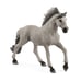 Обложка книги «SCHLEICH FARM WORLD Жеребец-мустанг соррайя»