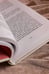 Дополнительное изображение книги «Сценаристка»
